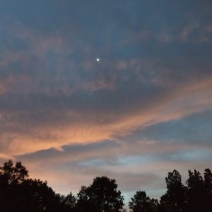 Meet your Posher, Laila